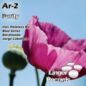 Download track Purity (Original Mix) Ar - 2