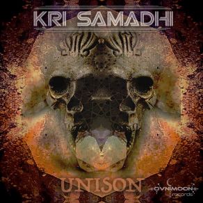 Download track Psycles Kri Samadhi