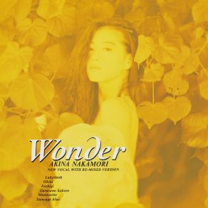 Download track Labyrinth (Wonder Remix) [2023 Lacquer Master Sound] Akina Nakamori (中森明菜)