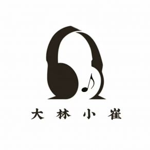 Download track 大龄之恋 (伴奏版) 佳林