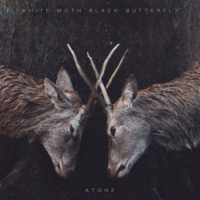 Download track Atone White Moth Black Butterfly