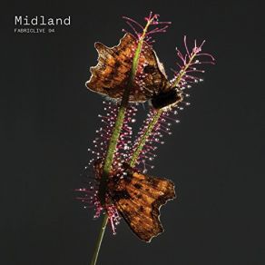 Download track First Tube Midland