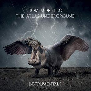 Download track Roadrunner (Instrumental) Tom MorelloΟΡΓΑΝΙΚΟ, Leikeli47