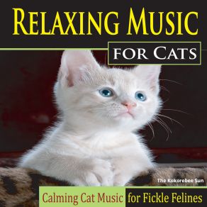 Download track Jesu, Joy Of Cats The Kokorebee SunJohann Sebastian Bach