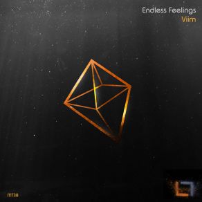 Download track Endless Feelings Viim