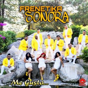 Download track La Historia De Mi Vida La Original Frenetika Sonora