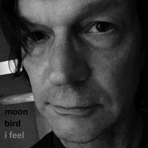 Download track Pray For The Innocent Moon Bird