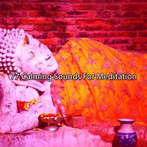 Download track Marvel In Meditation Namaste Yoga