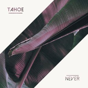 Download track Never Tahoe