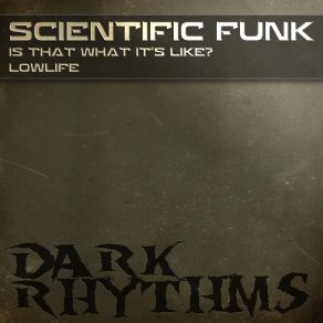 Download track Is That What It's Like (Original Mix) Scientific Funk