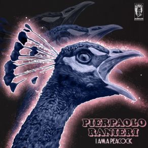 Download track The Future Is Pierpaolo Ranieri