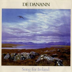 Download track Mulqueen's Reels De Danann