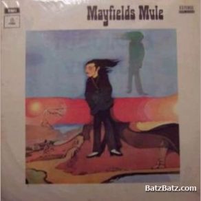 Download track Down From The Country Mayfield's Mule