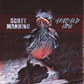 Download track Hatched Scott Manning