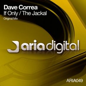 Download track If Only (Original Mix) Dave Correa