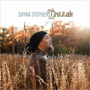 Download track Don't Mean A Thing At All Dayna Stephens