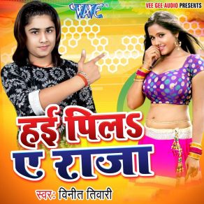 Download track Jobana Pawroti Bhail Vinit Tiwari