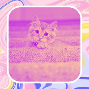 Download track Astounding Moods For Comfy Cats Música Para Dormir Gatos