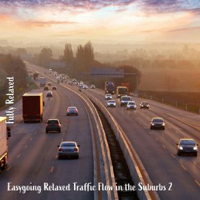 Download track Easygoing Relaxed Traffic Flow In The Suburbs, Pt. 2 Steve Brassel