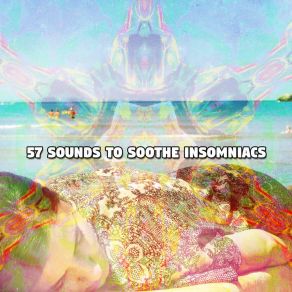 Download track Insomniacs Remedy Best Relaxing SPA Music