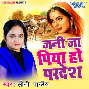 Download track Loot Gaini Pyar Me Soni Pandey