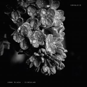 Download track Amplitud 03 (Bonus Track) John Plaza