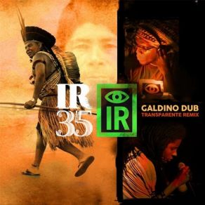 Download track Silent Warrior (Insurrection Mix) Indigenous Resistance