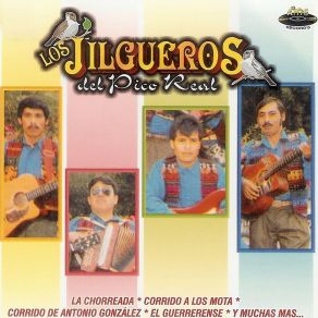 Download track La Chorreada Los Jilgueros Del Pico Real