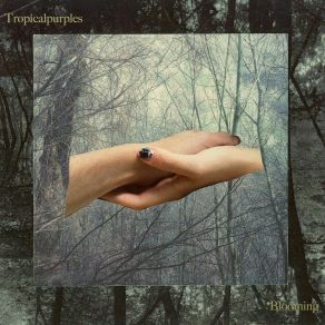 Download track Berlin Tropicalpurples