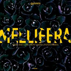 Download track Nerv (Psyek Remix) Mellifera