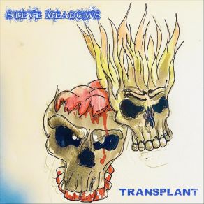 Download track Transplant Steve Meadows