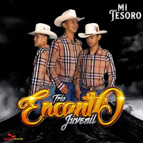 Download track No Te Olvide Trio Encanto Juvenil