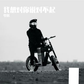 Download track 我想对你说对不起 罗辉