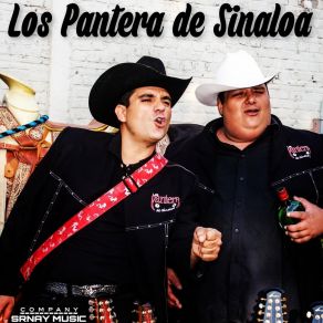 Download track Por Una Mujer Bonita Los Pantera De Sinaloa