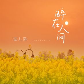 Download track 醉在人间 安儿陈