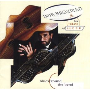 Download track Bird Nest Bound Bob Brozman, His Thieves Of Sleep