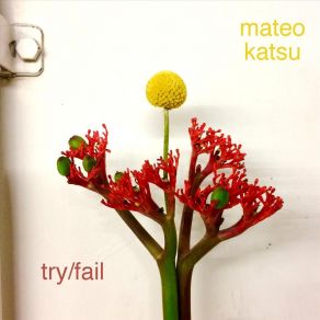 Download track How To Be Matt Mateo Katsu