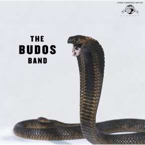 Download track River Serpentine The Budos Band