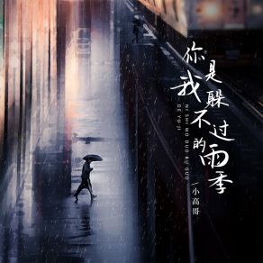 Download track 你是我躲不过的雨季 小高哥