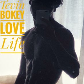 Download track Do Not Want My Lover Tevin Bokey