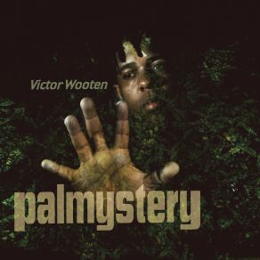 Download track Miss U Victor Wooten