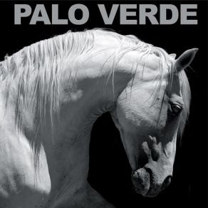 Download track By Day, By Night Palo Verde