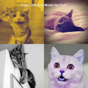 Download track Understated (Training Cats) Easy Listening Music For Cats