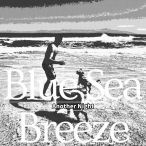 Download track Shimmering Shadows Gentle Echoes Blue Sea Breeze