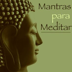 Download track Meditación (Sonidos De La Naturaleza) Musica Para EstudiarSonidos De La Naturaleza Relajacion