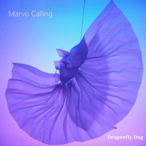 Download track Memory Blues Marvo Calling