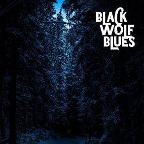 Download track Southern Belle BLACK WOLF BLUES