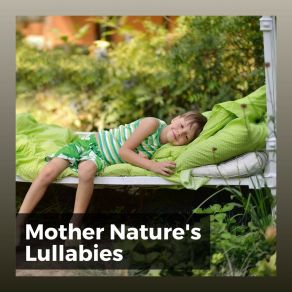 Download track Sonidos De La Naturaleza Para Dormir Sonidos De La Naturaleza Para Dormir