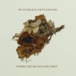 Download track Not To Know Mt. St. Helens Vietnam Band