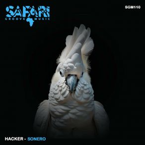 Download track Sonero (Original Mix) The Hacker